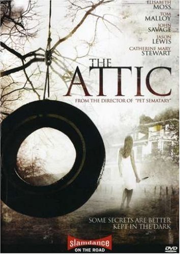 attic6